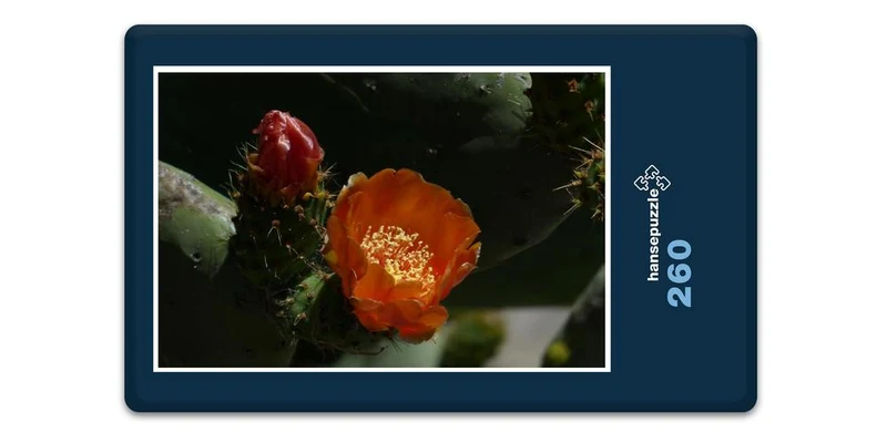 16925 Natur - Feigen-Kaktus Puzzle