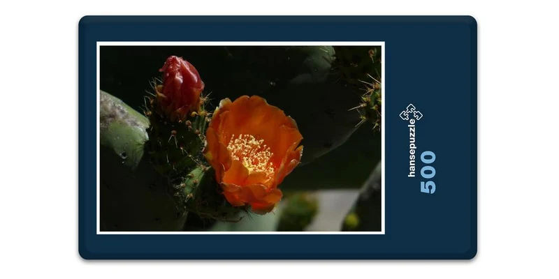 16925 Natur - Feigen-Kaktus Puzzle