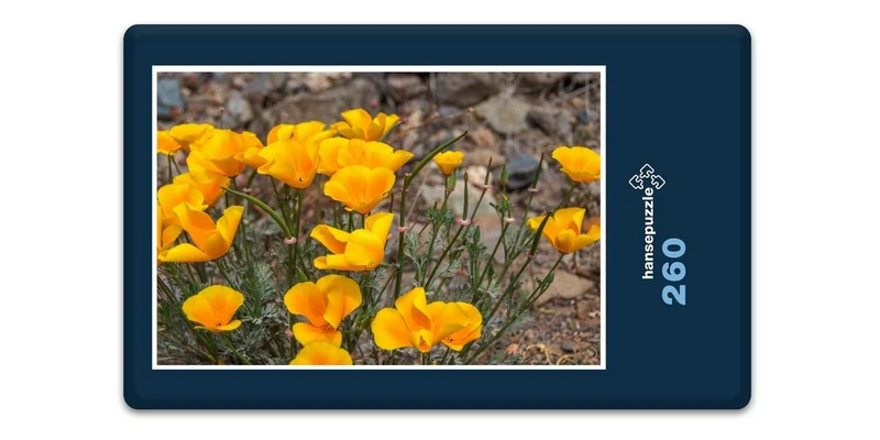 16927 Natur - Blumen Puzzle