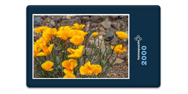 16927 Natur - Blumen Puzzle