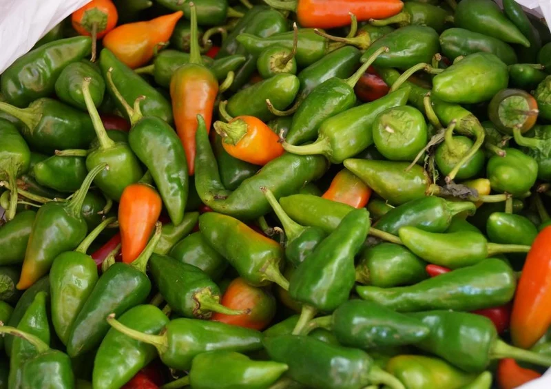 16928 Ernährung - Paprika Puzzle