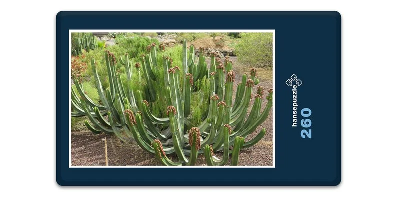 33398 Natur - Kaktus Puzzle