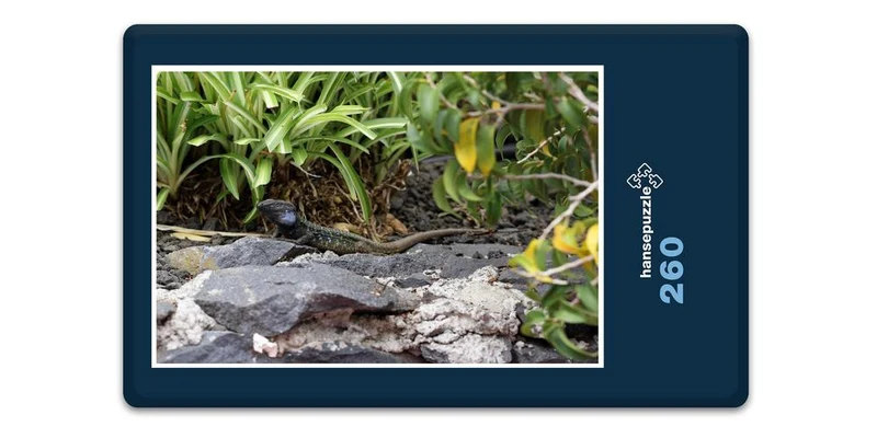 33397 Natur - Echse Puzzle