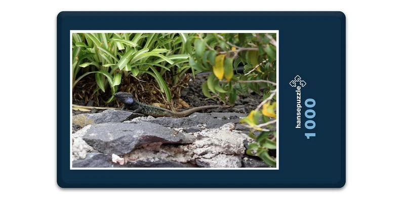33397 Natur - Echse Puzzle