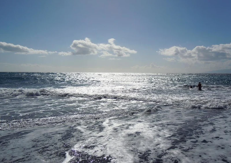 33391 Natur - Meer Puzzle