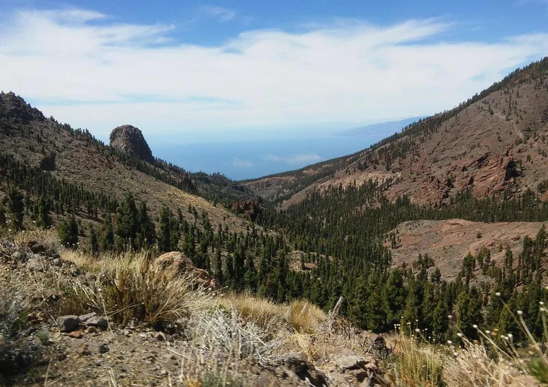33390 Natur - Pico Del Teide Puzzle