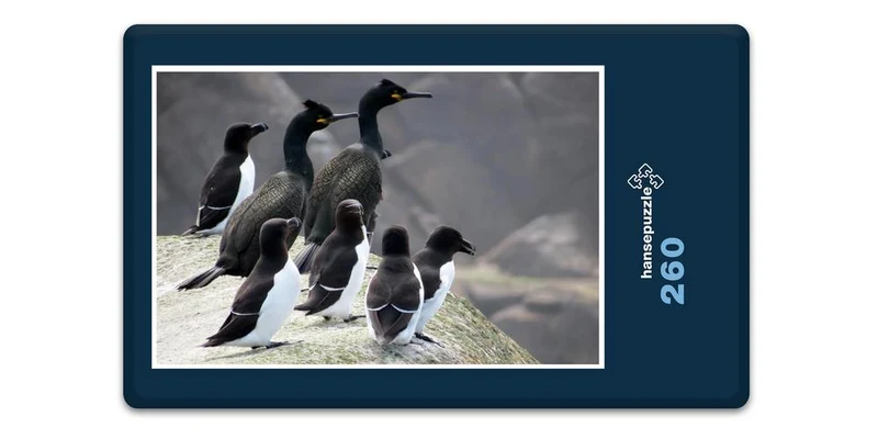 17128 Tierwelt - Kormoran Puzzle