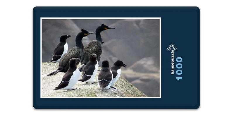 17128 Tierwelt - Kormoran Puzzle