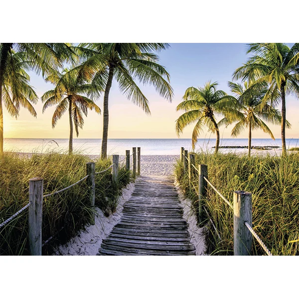 Collection Evasion - Plage de Floride (1000pcs)