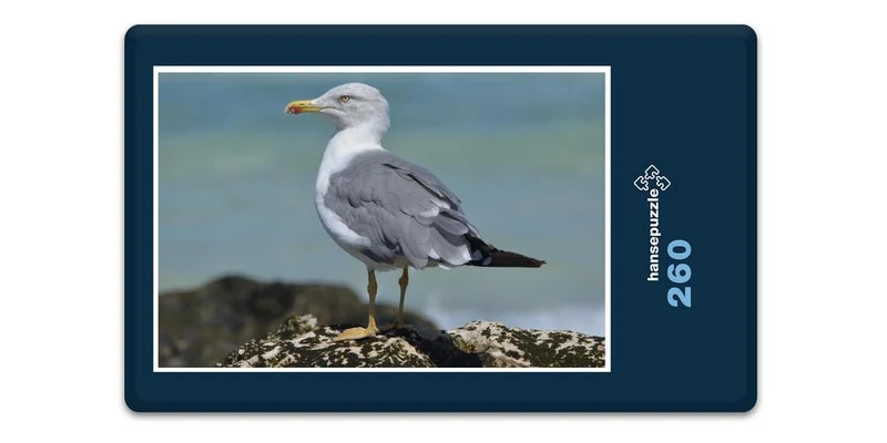 17129 Tierwelt - Möwe Puzzle
