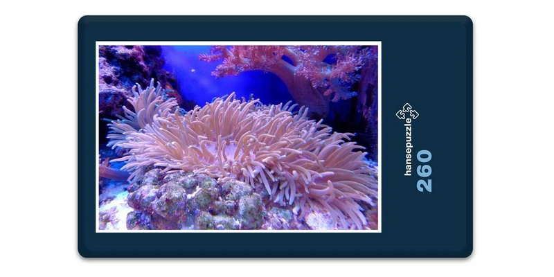 17130 Tierwelt - Koralle Puzzle