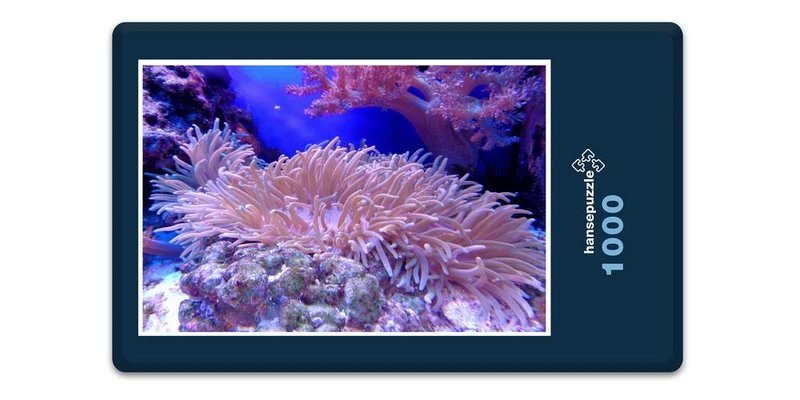 17130 Tierwelt - Koralle Puzzle
