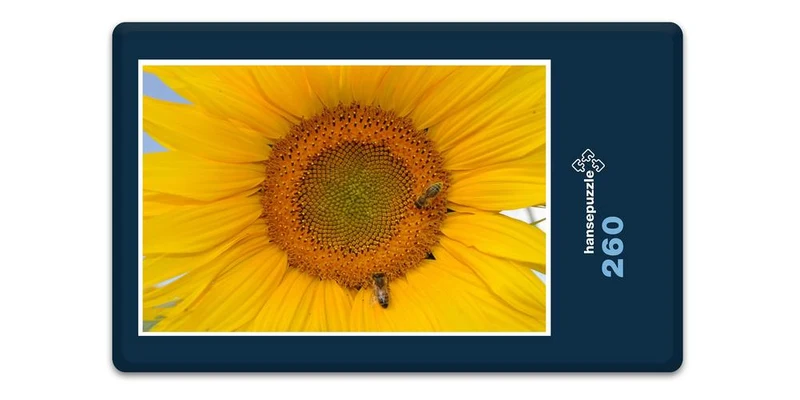 17191 Natur - Sonnenblume Puzzle