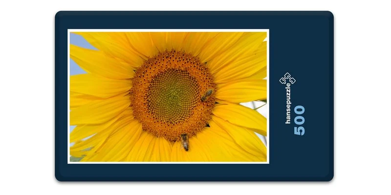 17191 Natur - Sonnenblume Puzzle