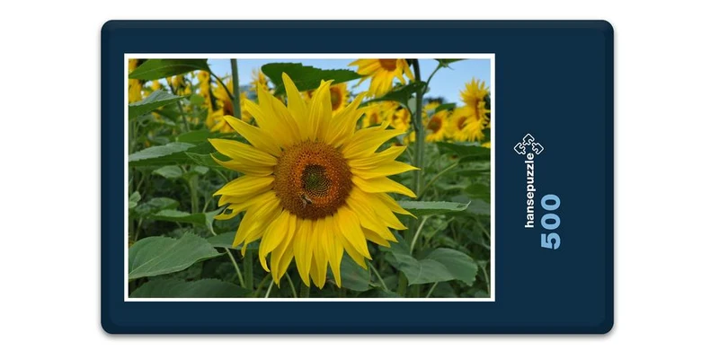 17192 Natur - Sonnenblume Puzzle