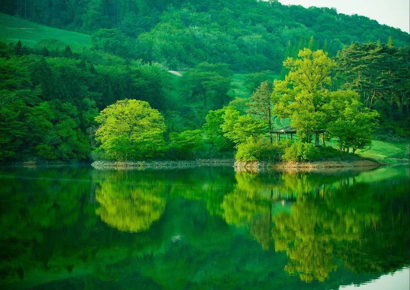 22422 Natur - Stausee Puzzle