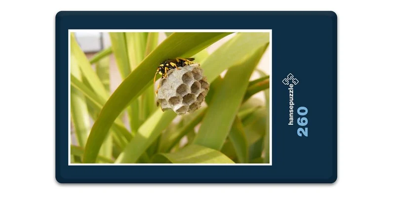17194 Natur - Wespennest Puzzle