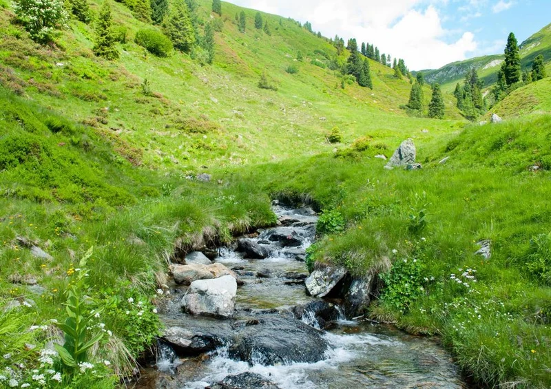 17298 Natur - Bachlauf Puzzle