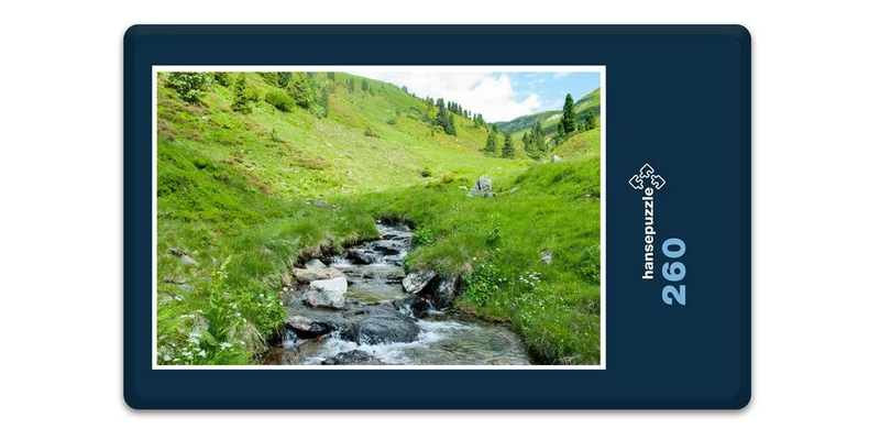 17298 Natur - Bachlauf Puzzle
