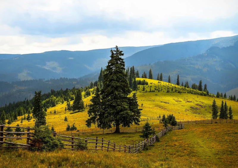 17303 Natur - Baum Puzzle