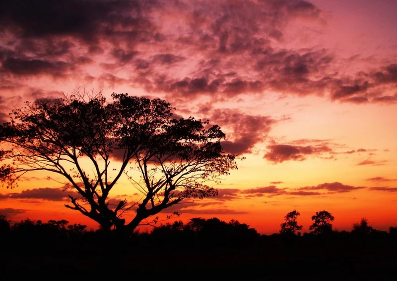 28005 Natur - Sonnenuntergang Puzzle