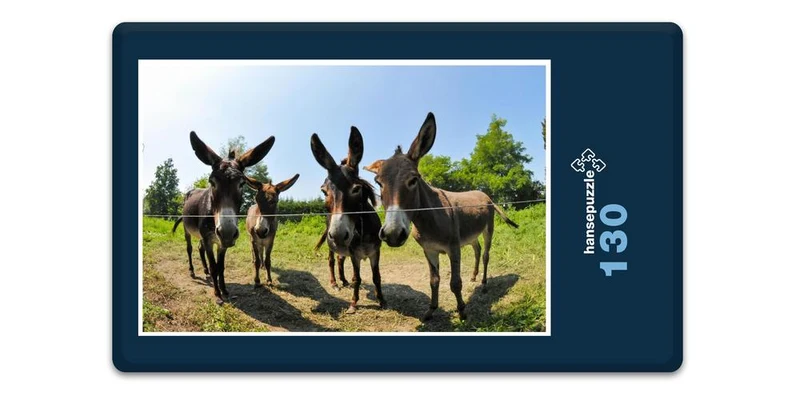 17349 Tierwelt - Esel Puzzle