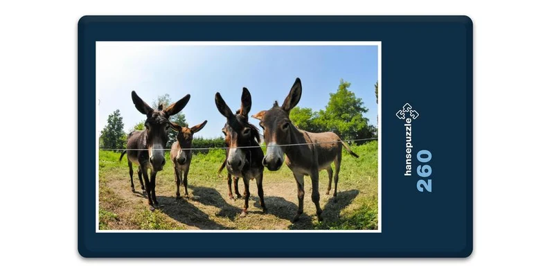 17349 Tierwelt - Esel Puzzle