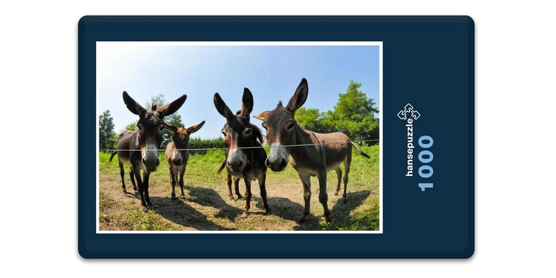 17349 Tierwelt - Esel Puzzle