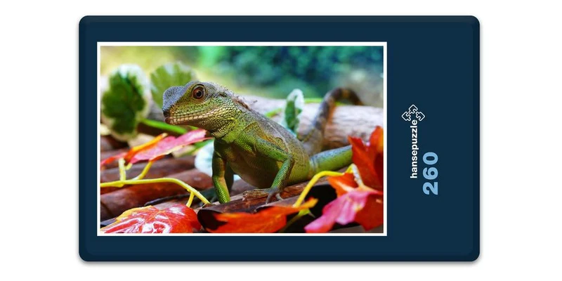 17333 Natur - Wasserdrache Puzzle