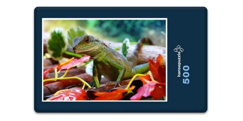17333 Natur - Wasserdrache Puzzle