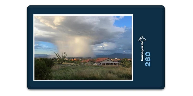 17197 Reisen - Sommer-Regen Puzzle