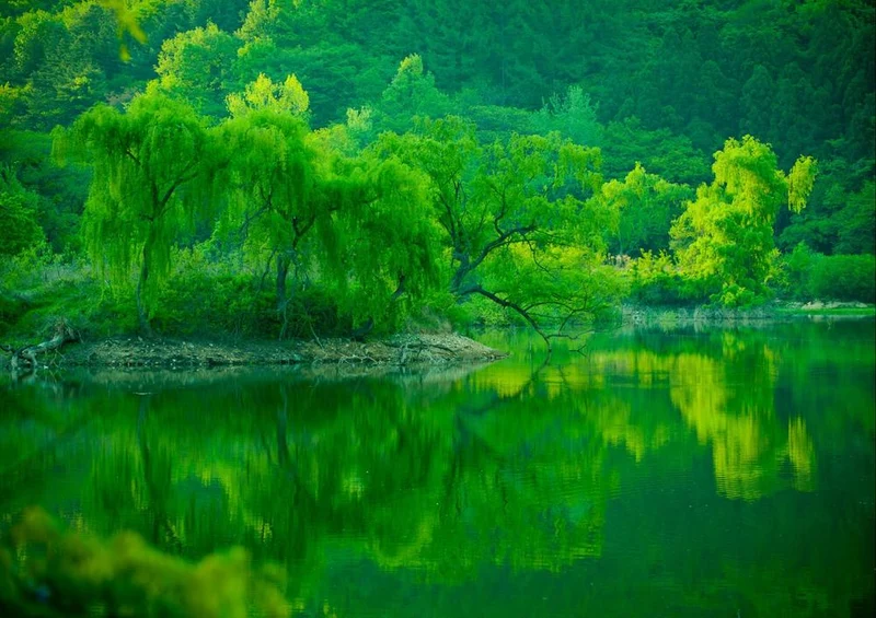 22400 Natur - Stausee Puzzle