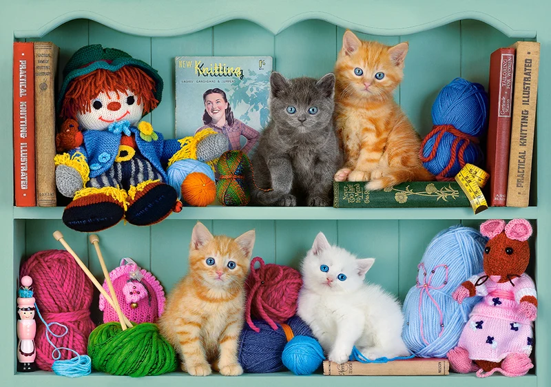 Kitten Shelves (500pcs)