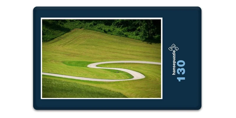 17230 Natur - Feld-Weg Puzzle