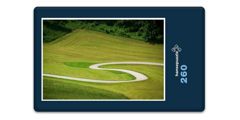 17230 Natur - Feld-Weg Puzzle