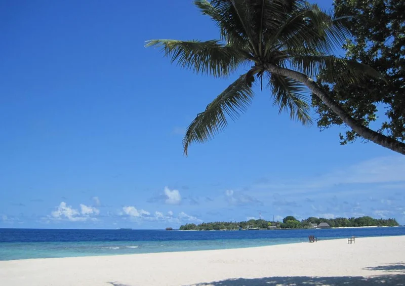25009 Natur - Strand-Paradies Puzzle