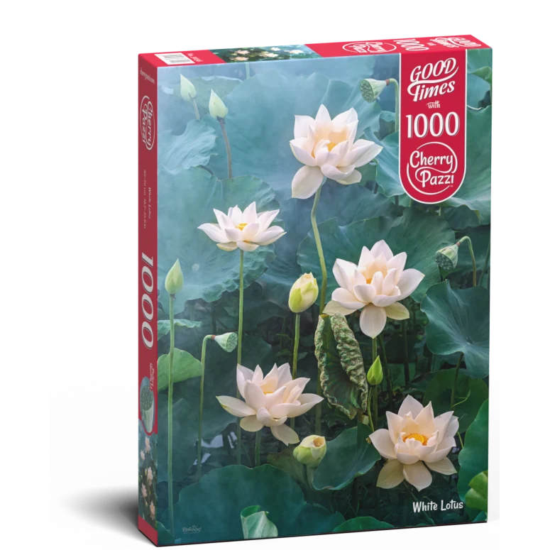 DMG White Lotus (1000pcs) (DAMAGED BOX)