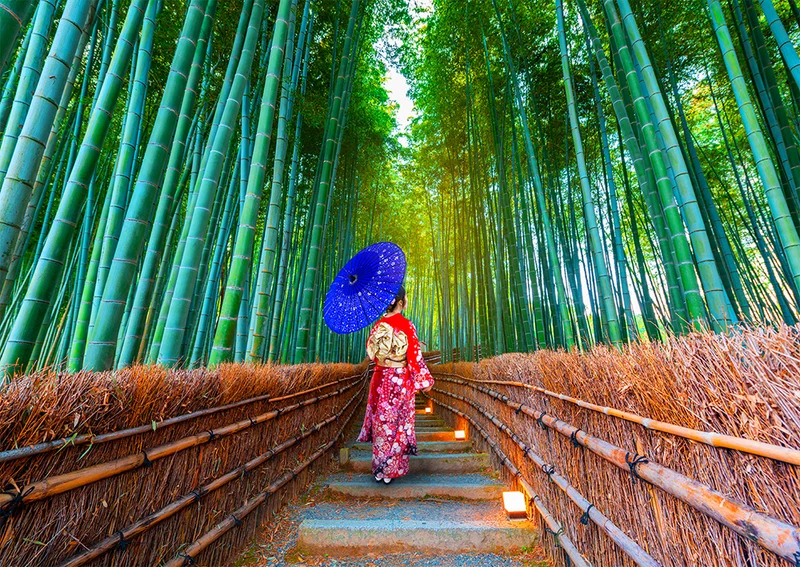 Asian Woman in Bamboo Forest (1000pcs)