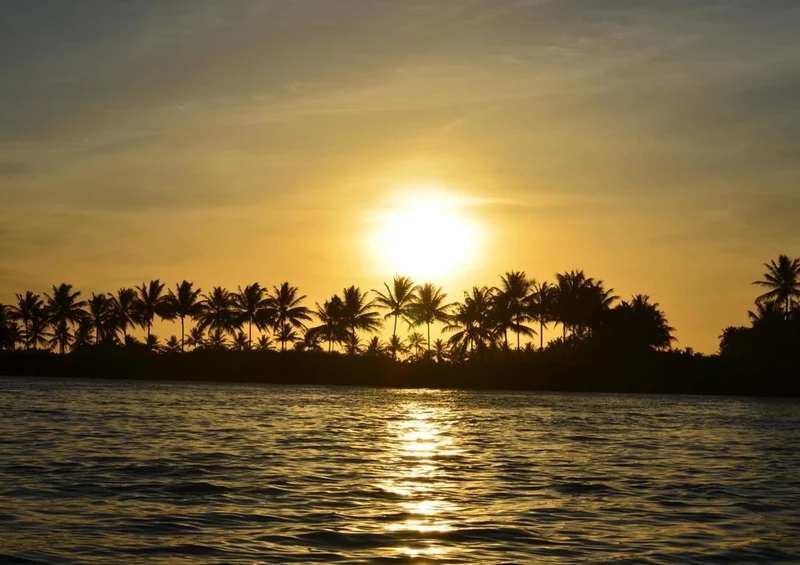 27918 Natur - Sonnenuntergang Puzzle
