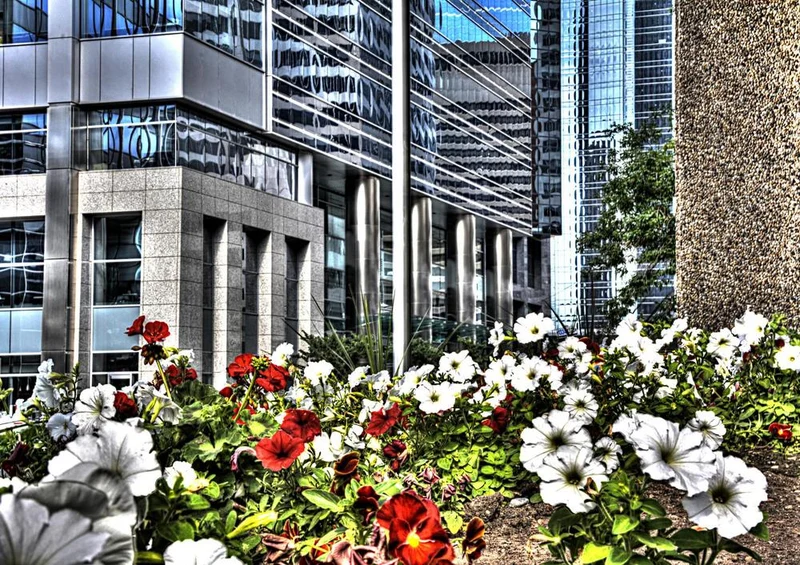 32785 Gebäude - Blumen Puzzle