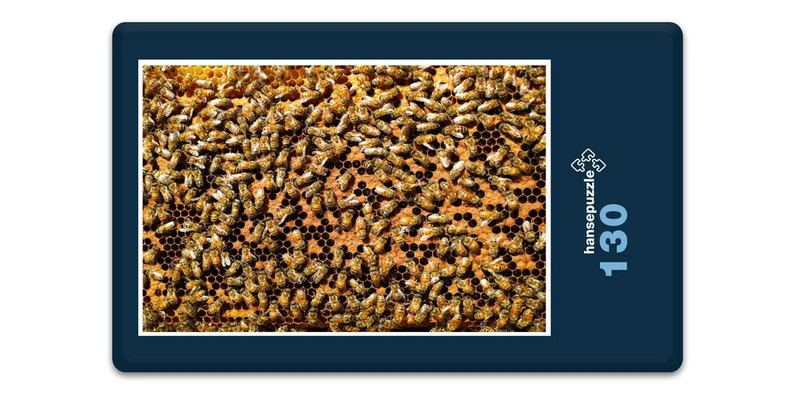 17203 Ernährung - Bienen-Honig Puzzle