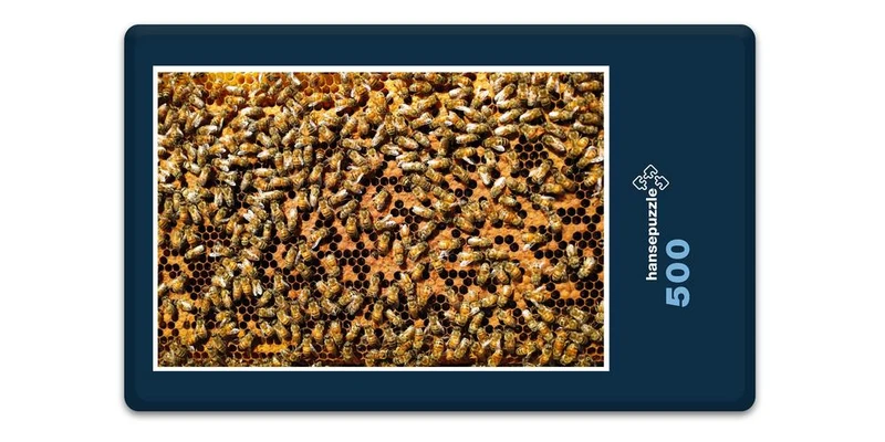 17203 Ernährung - Bienen-Honig Puzzle