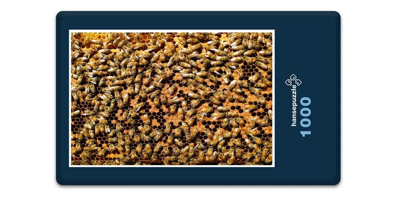 17203 Ernährung - Bienen-Honig Puzzle