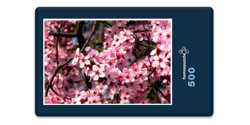 17207 Natur - Kirsch-Blüte Puzzle