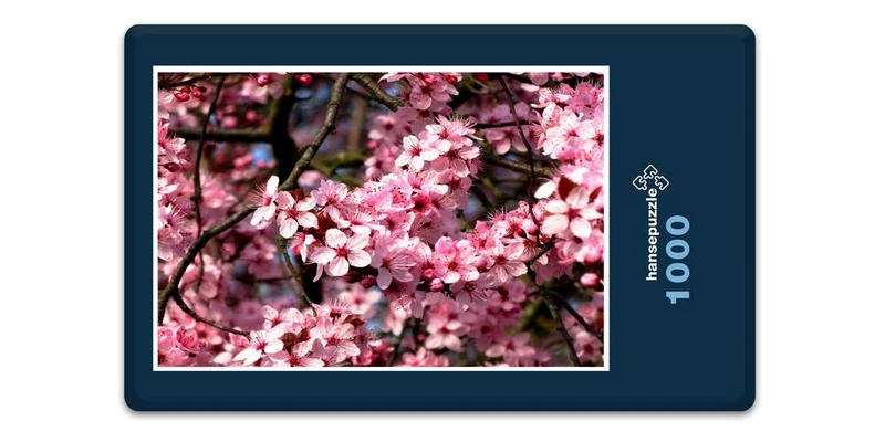 17207 Natur - Kirsch-Blüte Puzzle
