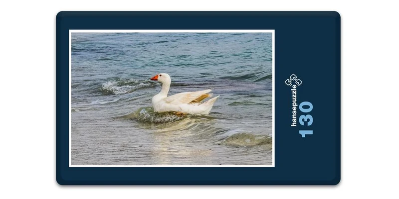 17231 Tierwelt - Wellen-Reiter Puzzle