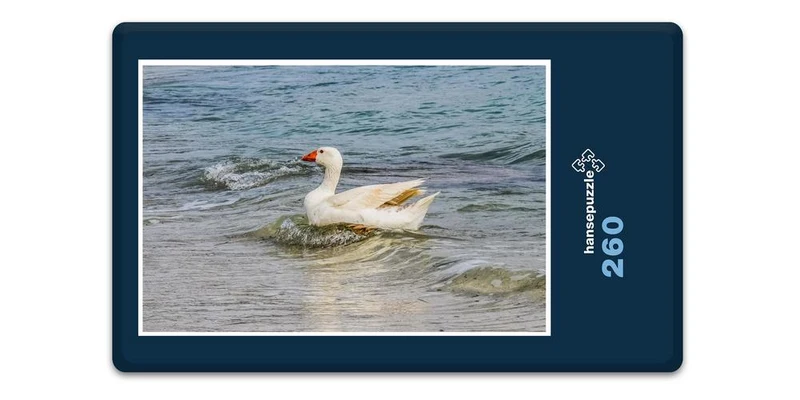 17231 Tierwelt - Wellen-Reiter Puzzle