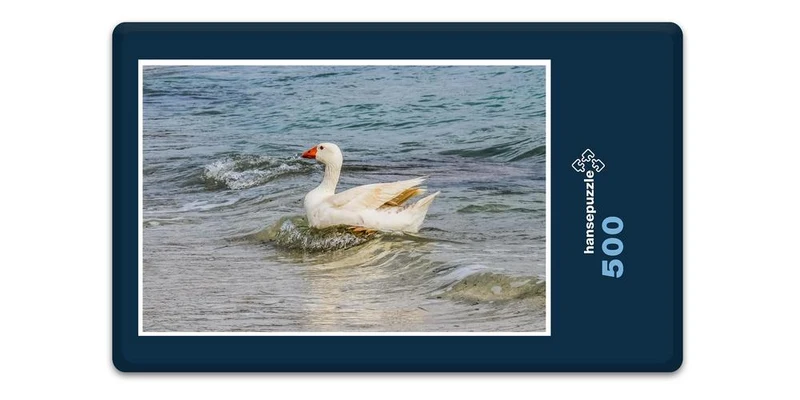 17231 Tierwelt - Wellen-Reiter Puzzle
