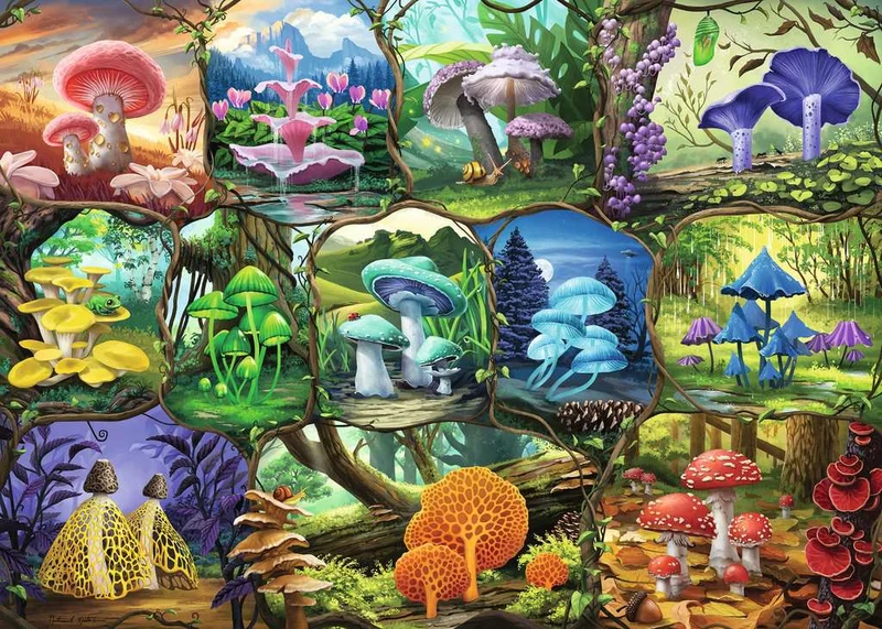 DMG Ravensburger Beautiful Mushrooms, Nathaneal Mortensen (1000pcs) (DAMAGED BOX)