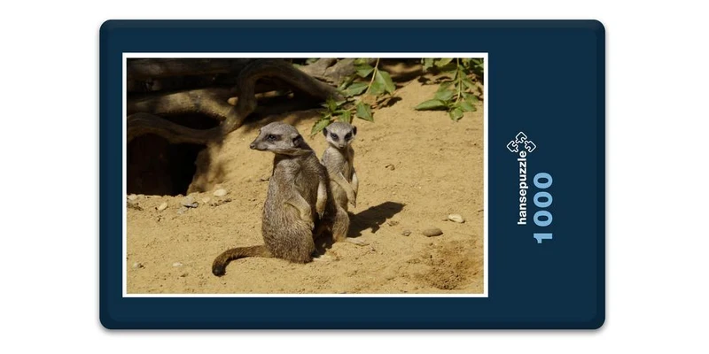 16959 Tierwelt - Erdmännchen Puzzle